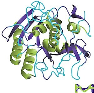 Merck PROTEINASE K SOLUTION IN 40% (V/V)     &