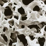 Spare Filter for Water Puricication 초순수 제조 장치 스페어 필터