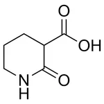 Merck 2-Oxo-3-piperidinecarboxylic acid