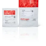 Thermo Fisher Scientific NanoOrange Protein Quantitation Kit, 200-2,000 assays