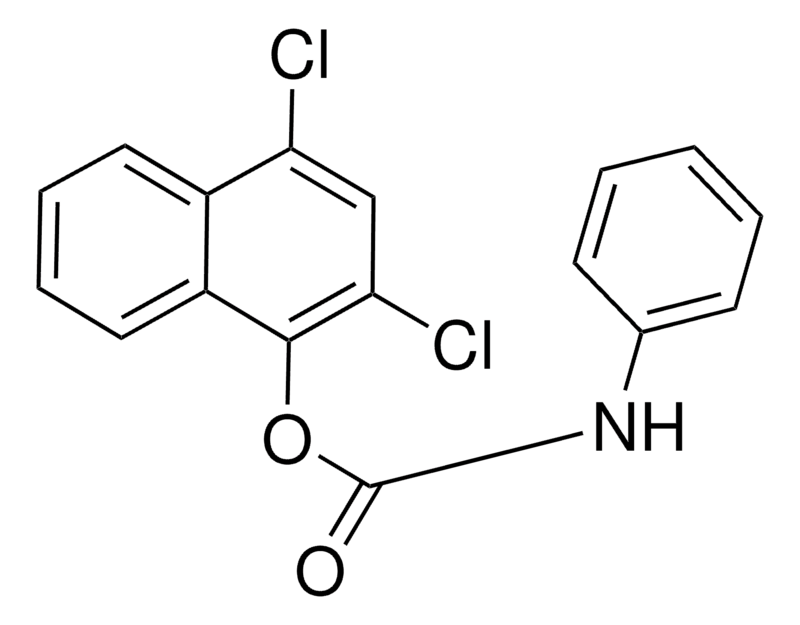 Merck 2,4-DICHLORO-1-NAPHTHYL N-PHENYLCA