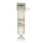 Thermo Fisher Scientific Lambda DNA