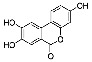 Merck UROLITHIN C