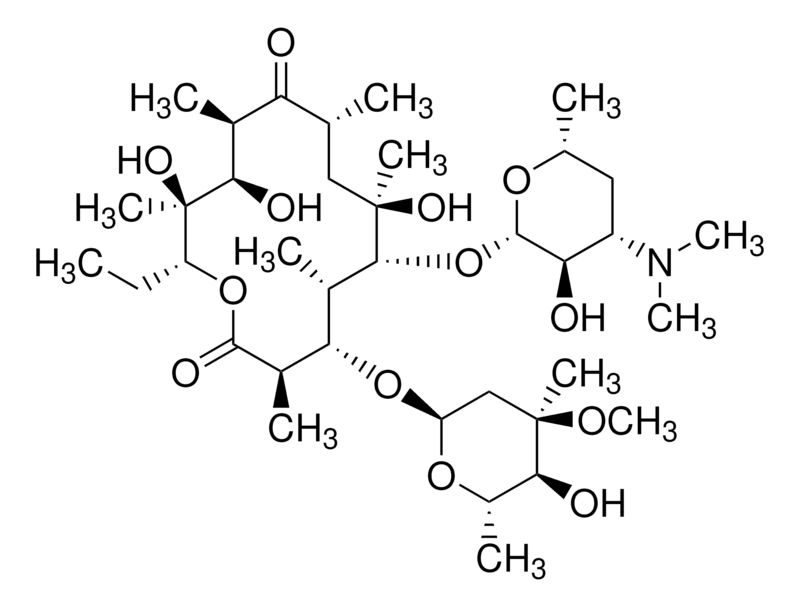 Merck Erythromycin