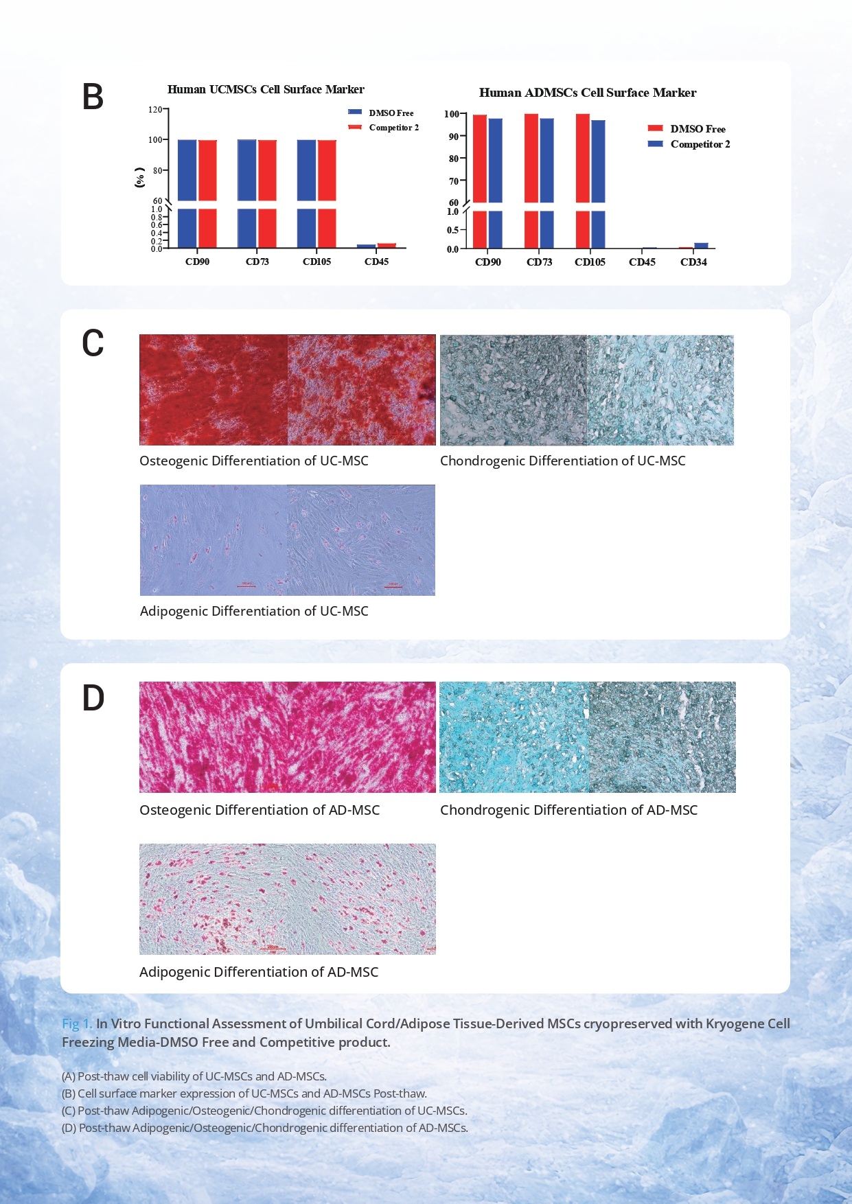 Kryogene Cell Freezing Media v2.0_page-0008.jpg