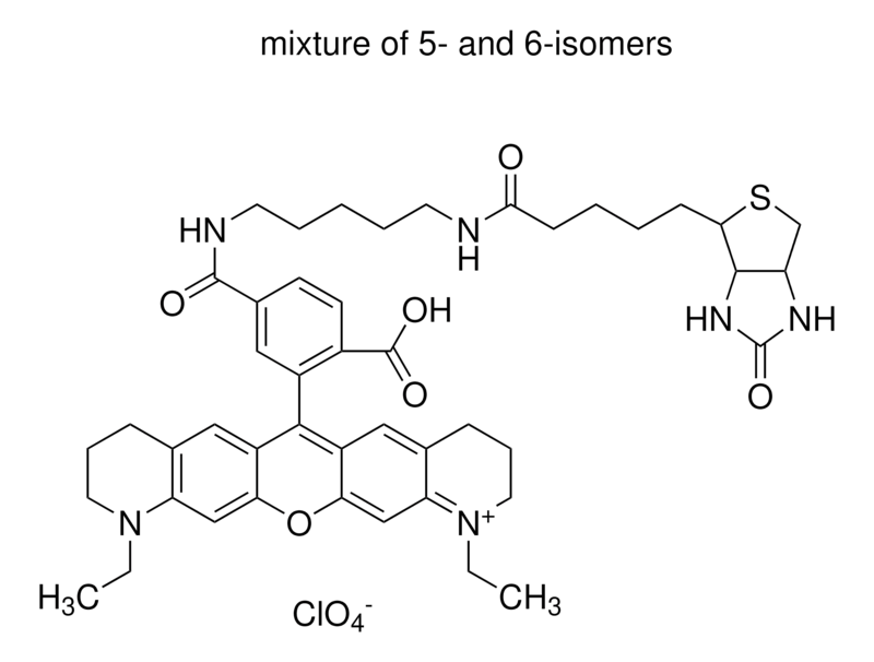 Merck Atto 565-Biotin