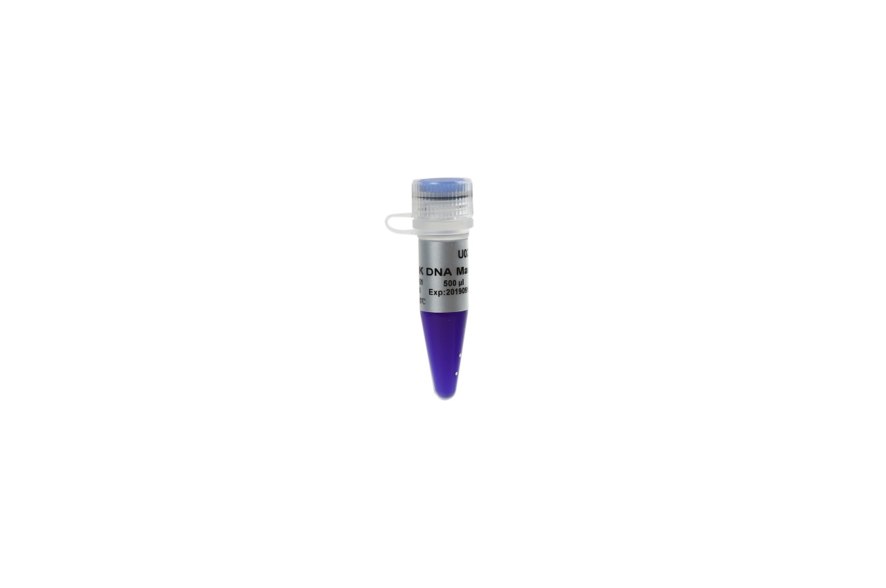 Trans8K® DNA Marker
