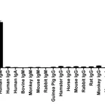 Thermo Fisher Scientific Goat anti-Human IgM (Heavy chain) Recombinant Secondary Antibody
