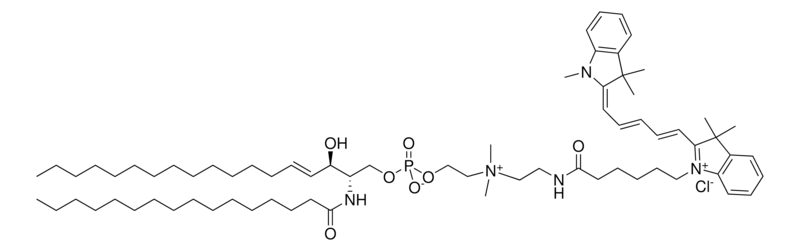 Merck C16 Cy5 SM