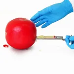 Sampling Systems MiniCorer - Ideal for Sampling Cheese, Wax, Butter etc..