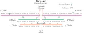Merck FIBRINOGEN TYPE I-S: FROM BOVINE PLASMA