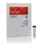 Thermo Fisher Scientific Lectin PHA-L From Phaseolus vulgaris (red kidney bean), Alexa Fluor 488 Conjugate