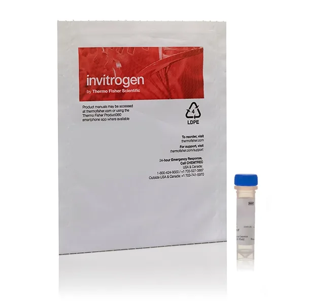 Thermo Fisher Scientific Methotrexate, Fluorescein, triammonium Salt (Fluorescein Methotrexate)