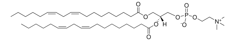 Merck 18:2 (Cis) PC (DLPC)