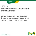 Merck SS 10' 1/8" 3%SP1500 80/120 CARBOPACK B&