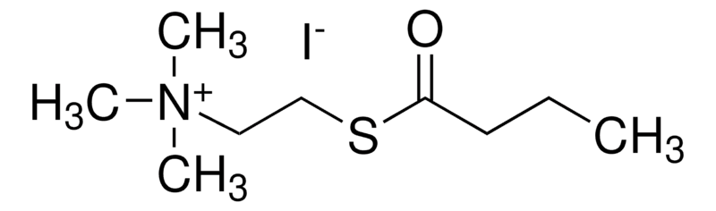 Merck Butyrylthiocholine iodide