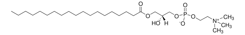 Merck 19:0 Lyso PC
