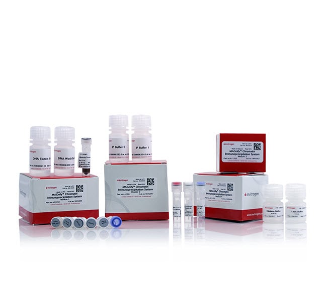 Thermo Fisher Scientific MAGnify Chromatin Immunoprecipitation System