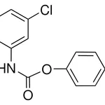 Merck 4-CYANOPHENYL N-(3,5-DICHLOROP - 50 MG&