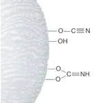 Merck CYANOGEN BROMIDE ACTIVATED AGAROSE-CROS&