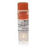 Thermo Fisher Scientific Expi293F Inducible Cells