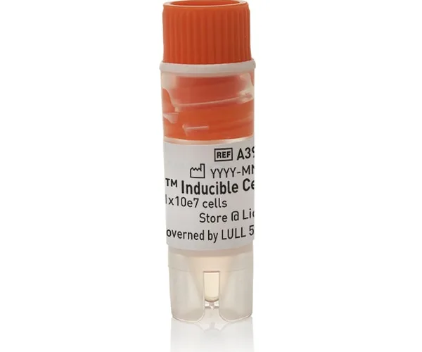 Thermo Fisher Scientific Expi293F Inducible Cells