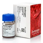 Thermo Fisher Scientific Dynabeads CD2