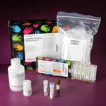 Thermo Fisher Scientific Active Rho Pull-Down and Detection Kit