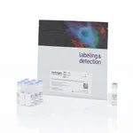 Thermo Fisher Scientific CellTrace Blue Cell Proliferation Kit, for flow cytometry, 180 Assays