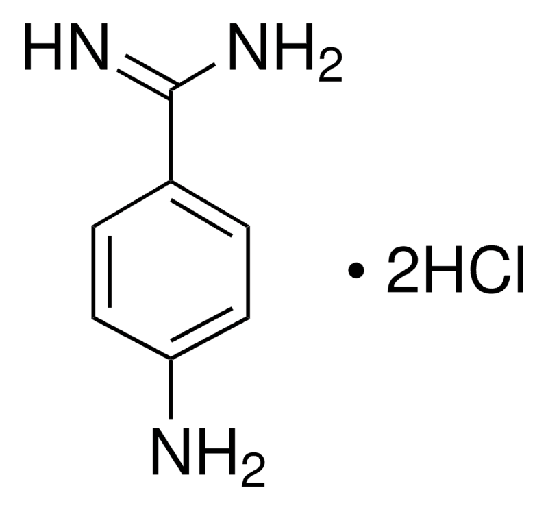 Merck 4-Aminobenzamidine dihydrochloride