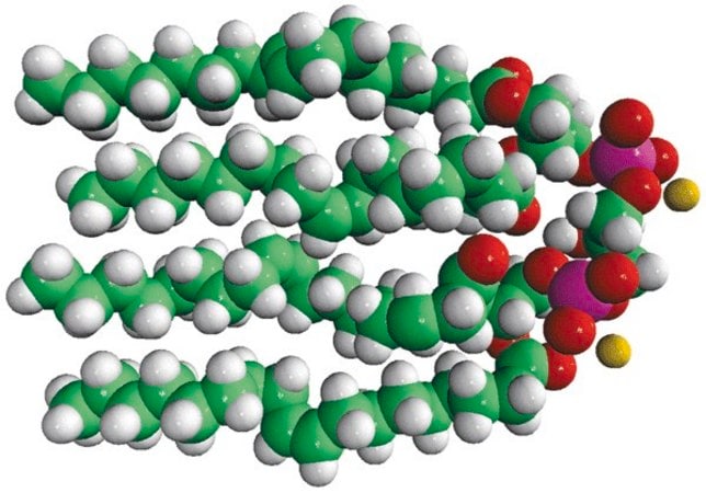 Merck 18:1 Cardiolipin
