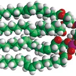 Merck 18:1 Cardiolipin
