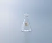 AS ONE Common Ground Joint Erlenmeyer Flask, 공통 그라운드 조인트 삼각플라스크