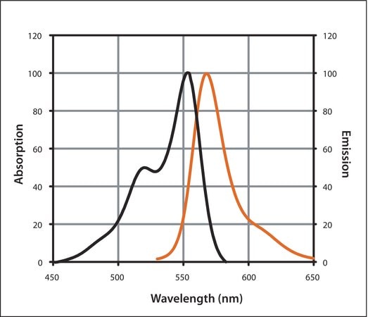 Merck Anti-Goat IgG (H+L), CF(TM) 555 antibody produced in rabbit
