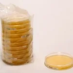 Merck Malt Extract AgarNutriSelect Plus