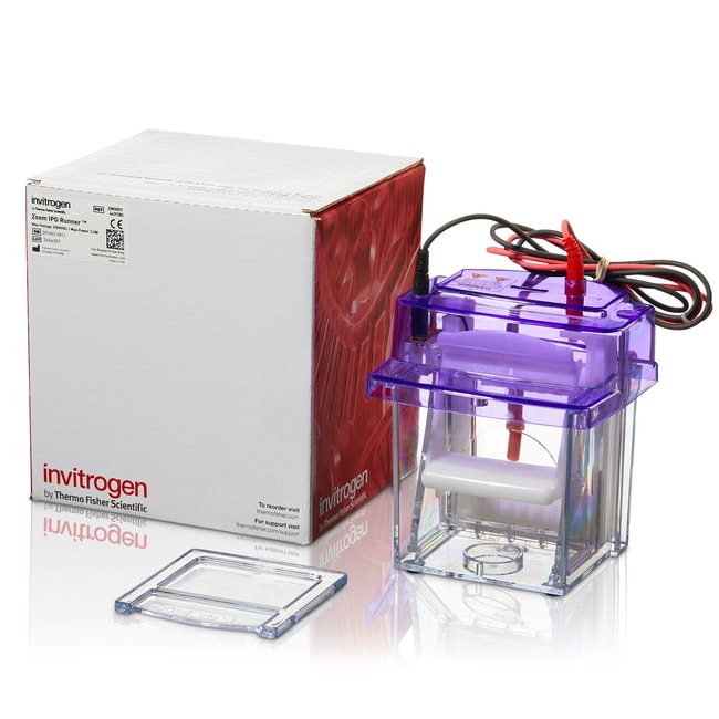 Thermo Fisher Scientific ZOOM IPGRunner Mini-cell