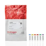 Thermo Fisher Scientific Image-iT Cell Painting Kit, Sufficient for two 384- or 96-well plates