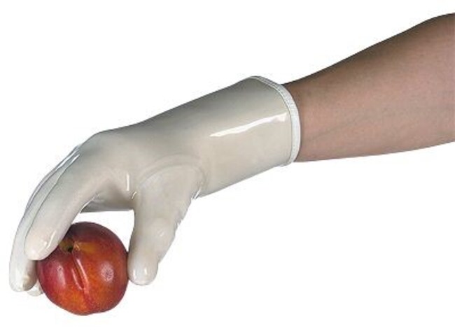 Thermo Fisher Scientific QRP Incorporated PolyTuff Heat Gloves, 12 in.