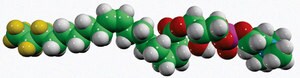 Merck 18:1-D7 LYSO PC