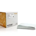 Thermo Fisher Scientific Power Blotter Pre-cut Membranes and Filters, nitrocellulose, regular size, 20 stacks