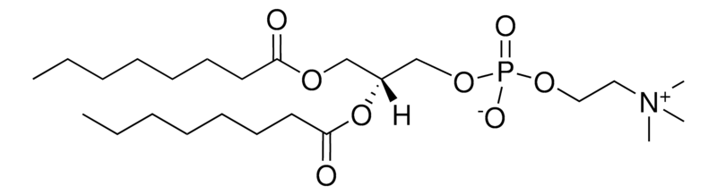 Merck 08:0 PC
