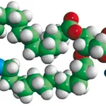 Merck 16:0-12:0 NBD PG