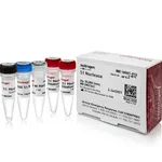 Thermo Fisher Scientific S1 Nuclease