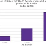 Merck ANTI-CHICKEN IGY (IGG) (WHOLE MOLECULE)&