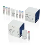 Thermo Fisher Scientific resDNASEQ dPCR E1A DNA Fragment Length Kit