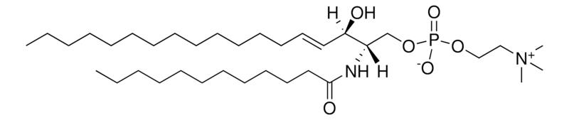 Merck 12:0 SM (d18:1/12:0)