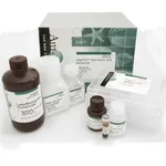 Thermo Fisher Scientific MagMAX Total Nucleic Acid Isolation Kit
