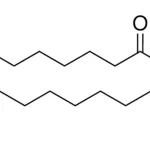 Merck Brain PS