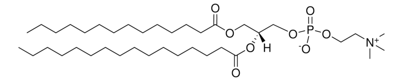 Merck 14:0-16:0 PC