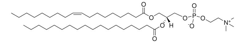 Merck 18:1-18:0 PC